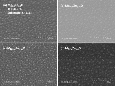 SEM micrographs of MgxZn1−xO QDs grown on Si (100) with Mg concentration (nominal) (a) 0%, (b) 40%, (c) 80% and (d) 100% at a growth temperature of 315 °C.