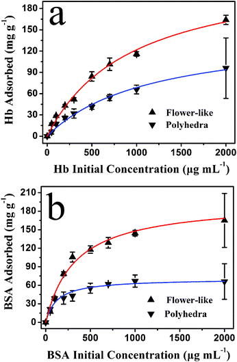 The protein loading capacity of the as-prepared hydroxyapatite NFHNs and polyhedra versus initial protein concentrations (experimental data are labelled as triangles). The isotherm simulations using the Langmuir equation for protein adsorption are also shown as solid curves. (a) Hb; (b) BSA.