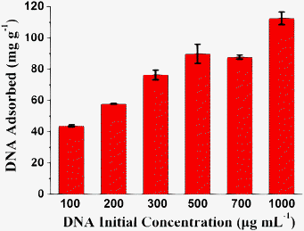 The loading capacity of hydroxyapatite NFHNs for fish sperm DNA at different DNA initial concentrations ranging from 100 to 1000 μg mL−1.