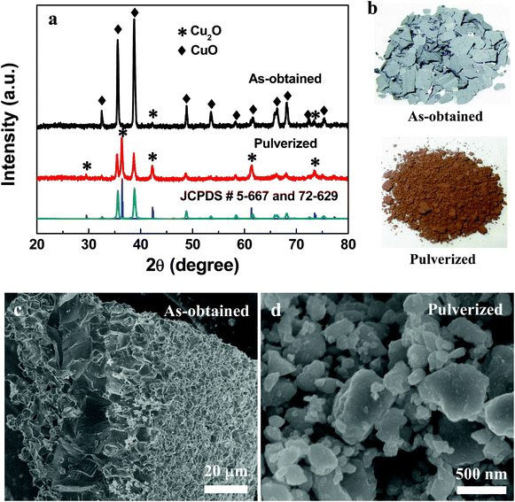 XRD patterns (a), photographs (b) and SEM (c, d) of as-obtained and pulverized sample obtained at 800 °C for 2 h.