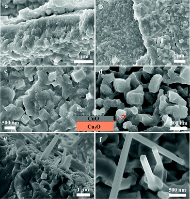 (a–d) SEM micrographs of copper oxide layers oxidized at 400 °C for 3 h. (e, f) Nanorods were grown from the upper surface layer of the CuO layer obtained at 500 °C for 3 h. The inset is a schematic illustration of the interface of the Cu2O and CuO layer.