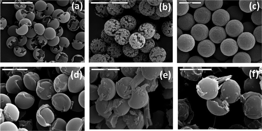 (a–c) SEM images of poly(l-phenylalanine) microspheres obtained at different polymerization conditions: (a) hollow structures, (b) porous particles, (c) rough-surface particles. (d–f) SEM images of chiral PV-l-Phe microspheres after crystallization of dl-valine (scale bars = 5 μm).35