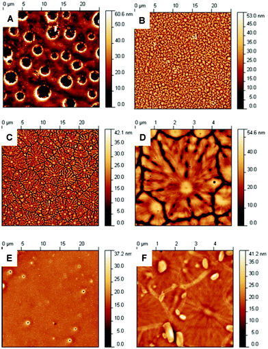 Height AFM images taken in semi-contact mode: A) {MnMo6}12 (25 × 25 μm scan size), B) {MnMo6}22 (25 × 25 μm scan size), C) {MnMo6}42 (25 × 25 μm scan size), D) {MnMo6}42 (5 × 5 μm scan size), E) {MnMo6}52 (25 × 25 μm scan size) and F) {MnMo6}72 (5 × 5 μm scan size).