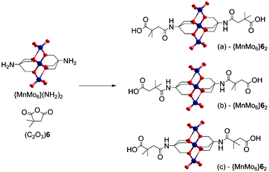 The three possible isomers of {MnMo6}62 obtained from (C2O3)6. Colour scheme: O (red), Mo (dark blue) and Mn (orange).