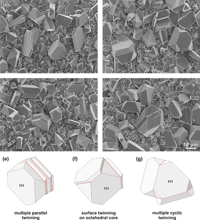 Complex {111} twinning of spinel crystals. (a) Composite lamellar twins produced by many parallel twinning events in the early growth stage. SEM micrograph shows two such twins in the left side of the image and one on the right. (b) Cyclic twin composed of three spinel crystals (right). Such a twin is formed by simultaneous nucleation of two neighboring {111} twin boundaries on the same primary octahedral crystal in an early growth stage. In this case anisotropic growth took place along two directions, resulting in a rapid growth of the central crystal. On the left is a simple contact (111) twin in the late growth stage with distinct growth ledges. (c) Multiple parallel twin with larger distance between the twin boundaries (centre left) and a cyclic twin in its early growth stage (centre right). (d) Complex cyclic-parallel twin, similar to the one used for TEM analysis in Fig. 5. For clarity some twins are illustrated below, (e) multiple parallel twin (f) cyclic twin in an early growth stage and (g) cyclic twin in the transitional growth stage. The illustrations are briefly matching the crystals shown in (c) and (b).