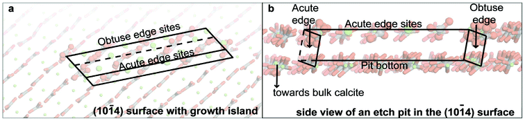 Illustration of the various surface sites (a) top view of a growth island and (b) side view of an etch pit. No water molecules are shown for visibility and one pit edge was cut away as well.