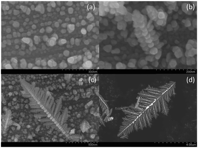 Intermediate steps of the nanoparticle-based growth of a silver crystal at (a) 2 s, (b) 5 s, (c) 15 s, and (d) 35 s.