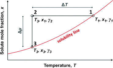 A schematic illustration of the metastable zone width.