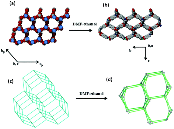 A scheme illustrating the channel–guest templating effect that may contribute to the reformation of 1 from 4. (a) The guest connectivity in compound 4; nodes were placed on the blue circles. (b) The framework connectivity in 1. (c) A topological representation of the guest molecules in 4. (d) A topological representation of the host framework in 1.