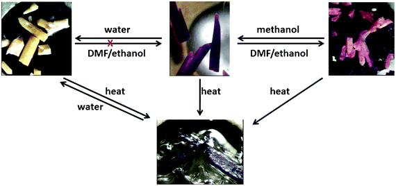 A summary of solvent-mediated structural transformations undergone by compound 1.