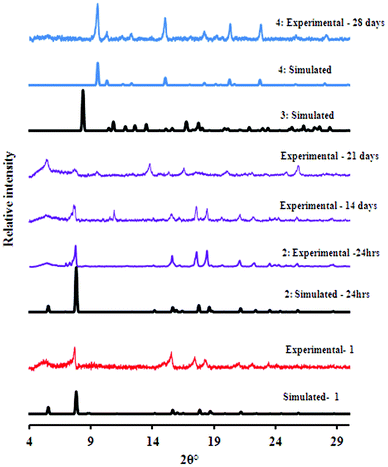 The diffraction patterns recorded over a period of 28 days.