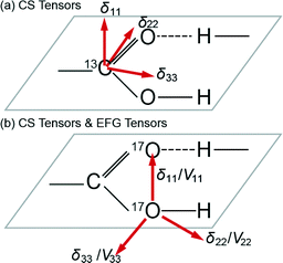 A schematic representation of the (a) 13C chemical shift (CS) tensor, and (b) 17O chemical shift and electric field gradient (EFG) tensors involved in carboxylic hydrogen bonded systems.