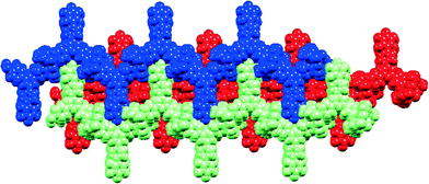 Packing of adjacent chains in [Zn5(OAc)10(2)4·11H2O]n. The blue and green chains are in the same sheet (see text).
