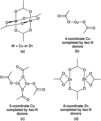 Examples of {M(OAc)2}n motifs in coordination polymers of type [M(OAc)2(L)]n and [M2(OAc)4(L)]n where L is a bis(pyridine) donor.