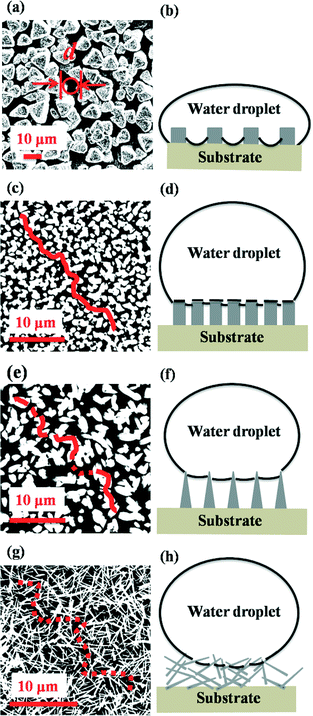 Controllable wettability by tailoring one-dimensional tellurium  micro–nanostructures - CrystEngComm (RSC Publishing) DOI:10.1039/C3CE41534A