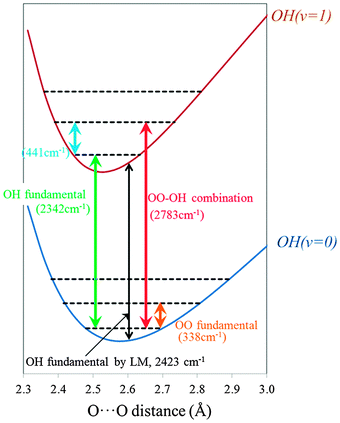 Schematic potential energy curves of the IHB OH stretching vibrational modes (OH) as a function of O⋯O distance (Conformer I).