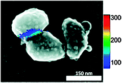 Overlay of the spatial intensity map and SEM image for a SMSERS-supporting nanoparticle aggregate. SMSERS is only observed in the crevice between particles. Adapted with permission from ref. 77.