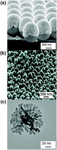 Hot spots fabricated without precise control of location and geometry. (a) SEM image of an Ag film over nanospheres (FONs) made by thermal deposition. (b) Helium ion microscope image (45°) of an Ag SERS substrate nanostructured by the ‘hot spot isolation’ process. (c) TEM of Au lace shell nanoparticle with built-in hot spots. Parts b and c reproduced with permission from ref. 32 and 30, respectively.