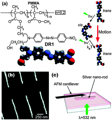 Principle of photopolymerization hot spot imaging. (a) Chemical structure showing the azobenzene grafted to a chain of PMMA and the photoinduced motion via a trans–cis–trans isomerization cycle. (b) Atomic force microscopy image of silver nanorods produced by E-beam lithography. (c) The sample is covered by DR1MA/MMA, laser-illuminated, and characterized by atomic force microscopy. Adapted with permission from ref. 75.