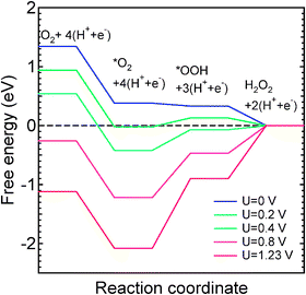 Free-energy diagram for the reduction of O2 to H2O2 on the Co–N4 defect in acidic medium.
