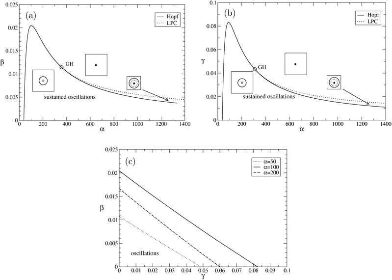 (a) Bifurcation analysis in β − α space. The area with sustained oscillations is found below the supercritical Hopf curve (to the left of GH) and below the LPC curve (to the right of GH). The insets qualitatively display the main solutions: filled (open) circle for the stable (unstable) fixed point, i.e., racemic state, and solid (dashed) curves for the stable (unstable) limit cycle, i.e., oscillations. Note that the bifurcation scenario is slightly different than in Fig. 1, giving rise to a thin parameter region where bistability among the stable fixed point and the stable limit cycle exists. The GH point is located at GH = (358.033236, 0.011450), other parameters are a = c = h = p = e = 1 and b = γ = 0. (b) Bifurcation analysis in γ − α space. The area with sustained oscillations is found below the supercritical Hopf curve (to the left of GH) and below the LPC curve (to the right of GH). The insets qualitatively display the main solutions: filled (open) circle for the stable (unstable) fixed point, and solid (dashed) curves for the stable (unstable) limit cycle. The GH point is located at GH = (309.5748, 0.043262), β = 0, and other parameters are as in (a). (c) Bifurcation analysis in β − γ space. We show three supercritical Hopf curves (α = 50, 100, 200). The area with sustained oscillations is found below the corresponding curve. Other parameters are as in (a).