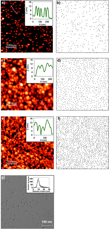 1 μm × 1 μm AFM images of 2.4% (a), 5.4% (c) and 10.6% (e) surface coverage of cobalt nanoparticle deposits onto Si(100) substrates. Each coverage percentage is in terms of a monolayer. Insets correspond to the profiles extracted from the blue lines in the AFM images. AFM equivalent representation displaying the distribution of the nanoparticles in the case of 2.4% (b), 5.4% (d) and 10.6% (f) where each nanoparticle identified by an AFM image is a dot with diameter 10 nm. (g) 550 × 550 nm2 TEM image of Co nanoparticles deposited on a TEM grid. Inset corresponds to diameter histogram obtained from the statistical events of several TEM images. A lognormal distribution has been performed as a fitting function.