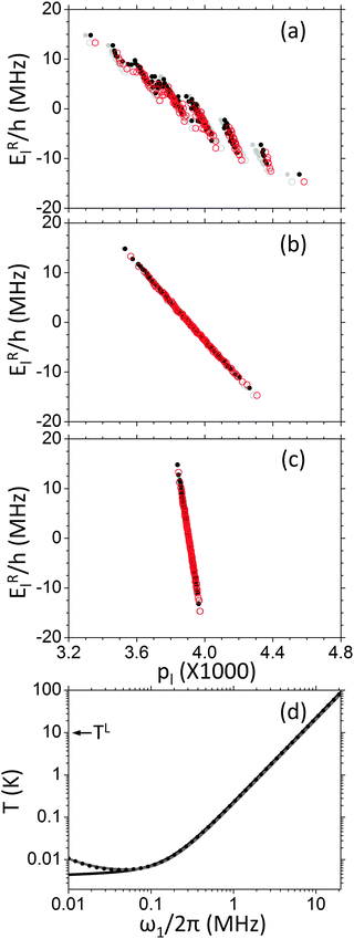 Steady state population vs. energy diagrams, for a homogeneously broadened system composed of seven electrons and a single nucleus with ωn/2π = 1.5 MHz. This was done using cw MW irradiation with a power of ω1/2π = 10 kHz (a), 100 kHz (b), or 400 kHz (c), and a MW frequency of (ΔωMW − ωe)/2π = −4 MHz. The black dots and red circles correspond to populations of states with σ = ∓1, respectively, and are a result of the simulation, while the gray dots and circles are the calculated energy-population relations for σ = ∓1, respectively, assuming the state of the system is given by three temperatures, as given in eqn (26). In (d) the steady state temperatures of the rotating frame electron Zeeman (solid black line), dipolar (gray line), and nuclear Zeeman (doted black line) baths are drawn as a function of the MW power. This was calculated from the populations using eqn (26). The lattice laboratory frame temperature is indicated by an arrow. All other parameters of the system are given in Table 1.