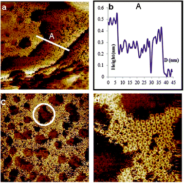 STM images, unfiltered, of Au(111) modified with p-iodobenzenesulfonyl phthalimide at a scan size of (a) 100 × 100 nm2, (b) the line profile of A showing 3 gold steps, (c) 60 × 60 nm2 and (d) 14.4 × 14.4 nm2 showing features consistent with sulfur deposition. Imaging conditions: I = 0.4 nA and V(bias) = 0.1 V.
