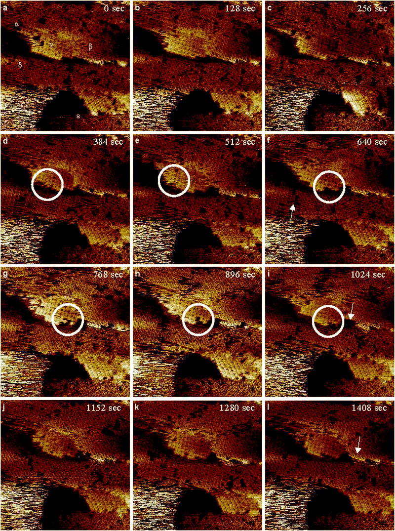 Consecutive, (a–l), high-resolution STM images, unfiltered, 30 × 30 nm2, after a 3 day modification of Au(111) on mica from p-fluorobenzenesulfonyl phthalimide. Imaging conditions: I = 0.175 nA and V(bias) = 0.150 V.