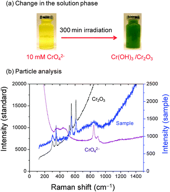(a) Photographs before and after irradiation of an Ar-purged 10 mM CrVI solution at pH 8.5 and (b) Raman spectrum of unwashed chromium oxide nanoparticles formed in the irradiated solution. The reference spectra of CrO42− dissolved in solution and Cr2O3 powder are also shown.