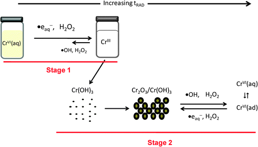 Schematic representation of the proposed mechanism for the radiolytic formation of chromium oxide nanoparticles under steady state radiolysis.