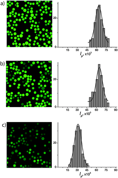 Gramicidin-mediated release of Na+ from lipid bilayer-coated particles. CLSM images of monodisperse nanoporous silica spheres loaded with SG and 100 mM of Na+, and sealed with DLPC lipid bilayers containing 1 mol% of gramicidin A. The left panel shows a representative CLSM image and the histograms to the right show the integral intensities per particle (a) before, (b) after exchange of the bulk solution with Na+-containing fresh buffer (control sample) and (c) after exchange of the Na+-based with a K+-based bulk solution. Images in panels (b) and (c) were recorded 20 h after buffer exchange. The significant decrease in the fluorescence intensity after the addition of the K+-containing bulk solution in (c) shows that there is a significant uptake of potassium and release of sodium ions into/from the gramicidin containing lipid bilayer coated SNS. At the same time, unchanged fluorescence of the control sample (b) after 20 h shows that there are no major leaks.