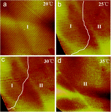 Series of STM sequence images of a 162.0 × 162.0 nm region illustrating the structural transformation process of asym-TTT at different temperatures recorded with V = 935.3 mV; I = 223.3 pA. The condition of temperatures is inset in the images, and the random lines in Fig. 3b and c highlight the domain boundary.