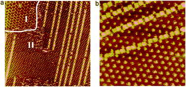 STM images showing asym-TTT II structure with selective recognition of guest molecules at the 1-octanoic acid/graphite interface. (a) Large-scale STM image (105.6 nm × 105.6 nm, V = 621.6 mV, I = 387.5 pA) indicates that 2D asym-TTT II can accommodate Pc molecules. The random lines in the image correspond to the boundary between domains I and II. (b) STM image of Pc–asym-TTT II demonstrates Pc is trapped within the cavity of the rearranged network (31.4 nm × 31.4 nm, V = 456.8 mV, I = 768.2 pA).