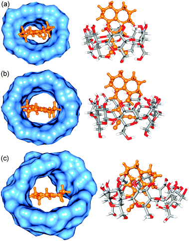 Optimized structure of (a) docked α-CD : DCVJ complex (1 : 1), (b) docked β-CD : DCVJ complex (1 : 1) and (c) docked γ-CD : DCVJ complex (1 : 1). DCVJ is shown in ball and stick model (orange color) and CDs are shown in both surface representation (blue color) and stick model (element based color).