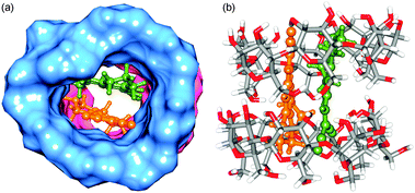 Optimized structures of γ-CD : DCVJ (2 : 2) complex. Two cyclodextrins are shown in both surface (blue and pink colors) and stick representations. The rest is the same as that of Fig. 7.