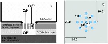 (a) Schematic illustration of a dual-electrode approach for selective Cd detection and (b) schematic of the holes in the perforated carbon, the diameter of the hole is 1 mm. The hole in the center was placed carefully in the center part of the sensing electrode separated by a silicone rubber sheet.