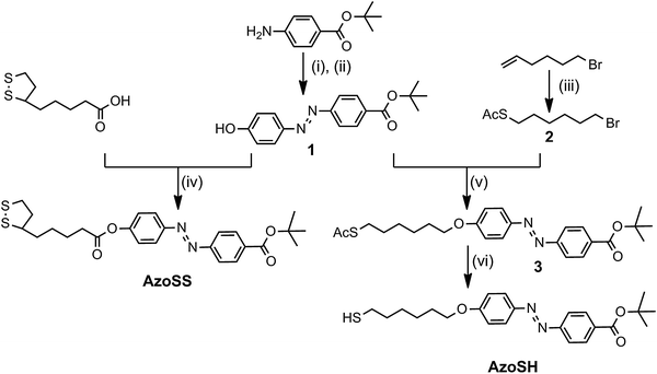 Synthesis of AzoSS and AzoSH: (i) NaNO2, 1.1 M HCl, MeOH, 0 °C; (ii) Phenol, KOH(aq), MeOH, rt, 4 h; (iii) CH3COSH, AIBN, PhMe, reflux, 2 h; (iv) DCC, DMAP (cat), DCM, rt, N2(g) atm, 16 h; (v) K2CO3, acetone, refluxed, 16 h; (vi) 0.1 M HCl, MeOH, reflux, N2(g) atm, 4 h.