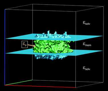 Assignment of static dielectric constants to different regions of space in the calculation of protonation patterns of trimeric LHCII.101 The figure created with VMD.102