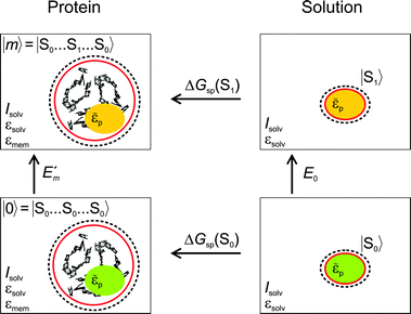 Thermodynamic cycle for the calculation of the site energy  of a protein-bound pigment with the PB/QC method.