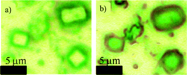 Optical microscope images of particles in the supermicrometer range, showing the NaCl crystallite and the coatings that surround these sea spray particles; (a) the microscope is focused on the top of the particles; (b) the microscope is focused on the bottom of the particles where coatings can be more easily seen.