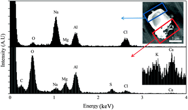 SEM image (upper right) of a sea spray aerosol particle composed mainly of salts. EDX spectra for two areas of the particle (indicated by rectangles) are shown in the upper and lower panels. The accelerating voltage was 5 kV. The inset in the bottom panel shows a magnified spectrum obtained with 7.5 kV accelerating voltage to amplify signals from potassium and calcium. Al is due to the substrate and not present in the sample.