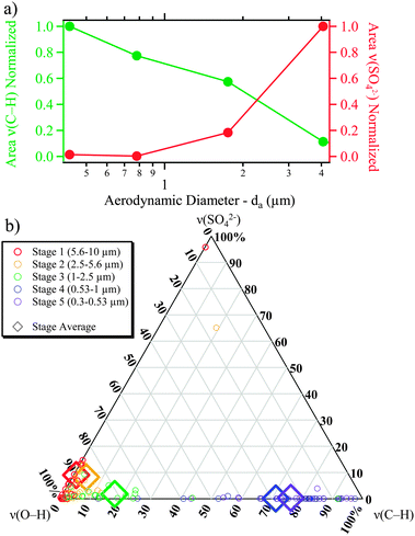 (a) Normalized integrated area of Raman bands for ν(SO42−) and ν(C–H) modes, as a function of particle size. (b) Ternary plot showing the relative areas of the ν(SO42−), ν(C–H), ν(O–H) modes. For the ternary plot, color represents the particle stage, the diamonds represent the average values for a stage, while the smaller circles represent individual particles.