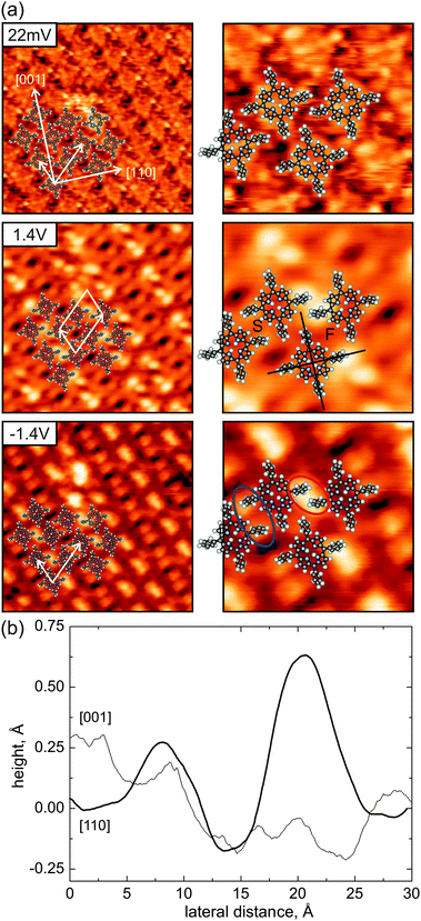 (a) Comparison of different STM contrasts, revealing the two structural arrangements (labeled S, F) between next neighboring molecules. The unit cell is indicated in the 1.4 V image. Note: the position of the hydrogen atoms in the center of the molecule's macrocycle remains unknown and thus has been chosen freely. Left images: 94 pA, (100 × 100) Å2. Right images: 94 pA, (40 × 40) Å2. (b) Linescans across the molecules in [11̲0] and [001] directions, taken from the right +1.4 V image of panel (a).