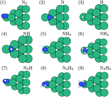 The most stable adsorption sites for the reaction intermediates in both the dissociative and associative mechanisms on the ruthenium M12 nanocluster. The dark atoms are nitrogen, the small atoms are hydrogen and the light atoms are ruthenium. The adsorption sites for the adsorbates presented for the M12 nanocluster are only representative of the type of adsorption site (hollow, bridge, ontop) and not the actual bonding site for the other metals, which means a N atom could bind more strongly to another hollow site on a different metal studied in this work.