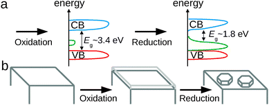 (a) Schematic view of the oxide band structure before and after electrochemical reduction with subsequent removal from the electrolyte. (b) Schematic view of the formation of the final morphology in the process of different electrochemical treatments.