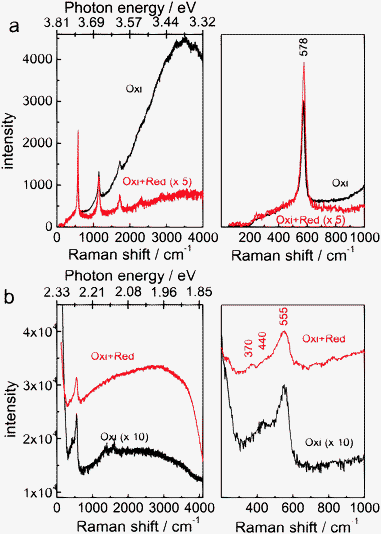 
            Raman spectra of electrochemically oxidized (“Oxi”, +1.2 V, 10 min) and subsequently reduced samples (“Oxi + Red”, −1.25 V, 1 min) excited with (a) 325 nm and (b) 532 nm. Both spectra at the respective wavelength were recorded under the same illumination conditions. Intensities for the sample “Oxi + Red” were multiplied by 5 in (a) while intensities for sample “Oxi” were multiplied by 10 in (b). The values on the photon energy scale correspond to the nearest second digit to the energy value of the respective Raman shift. The spectra on the left represent an overview spectrum while the spectra on the right show the region up to 1000 cm−1, the region of interest in the Raman spectra.