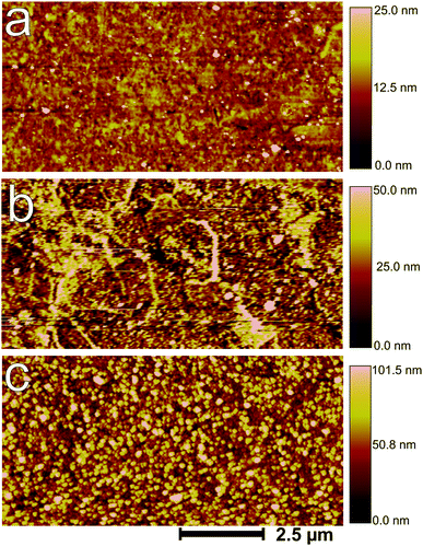 AFM images of (a) mechanically polished, (b) electrochemically oxidized (+1.2 V, 10 min) and (c) subsequently reduced (−1.25 V, 1 min) zinc.