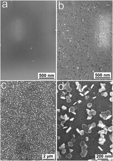 SEM images of (a) mechanically polished, (b) electrochemically oxidized (+1.2 V, 10 min) and (c and d) subsequently reduced (−1.25 V, 1 min) samples.