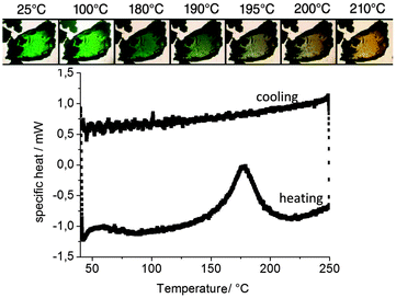 (top) Microscope observation of the color change of CuCl4_INN on a Kofler bench and (bottom) the DSC curve for CuCl4_INN under heating and cooling.